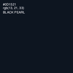 #0D1521 - Black Pearl Color Image
